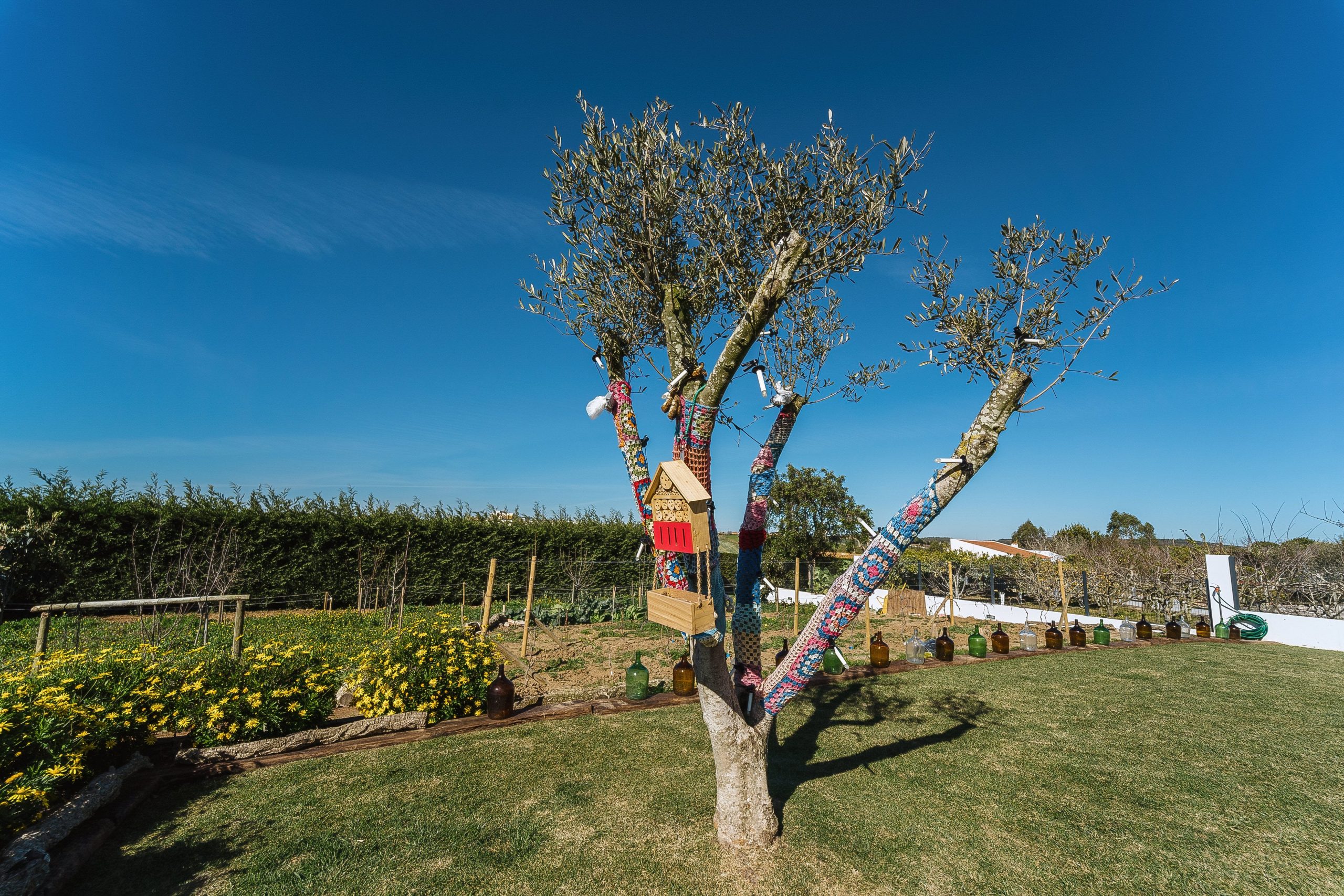 055_Exterior-Pateo-Sagaipo-Alojamento