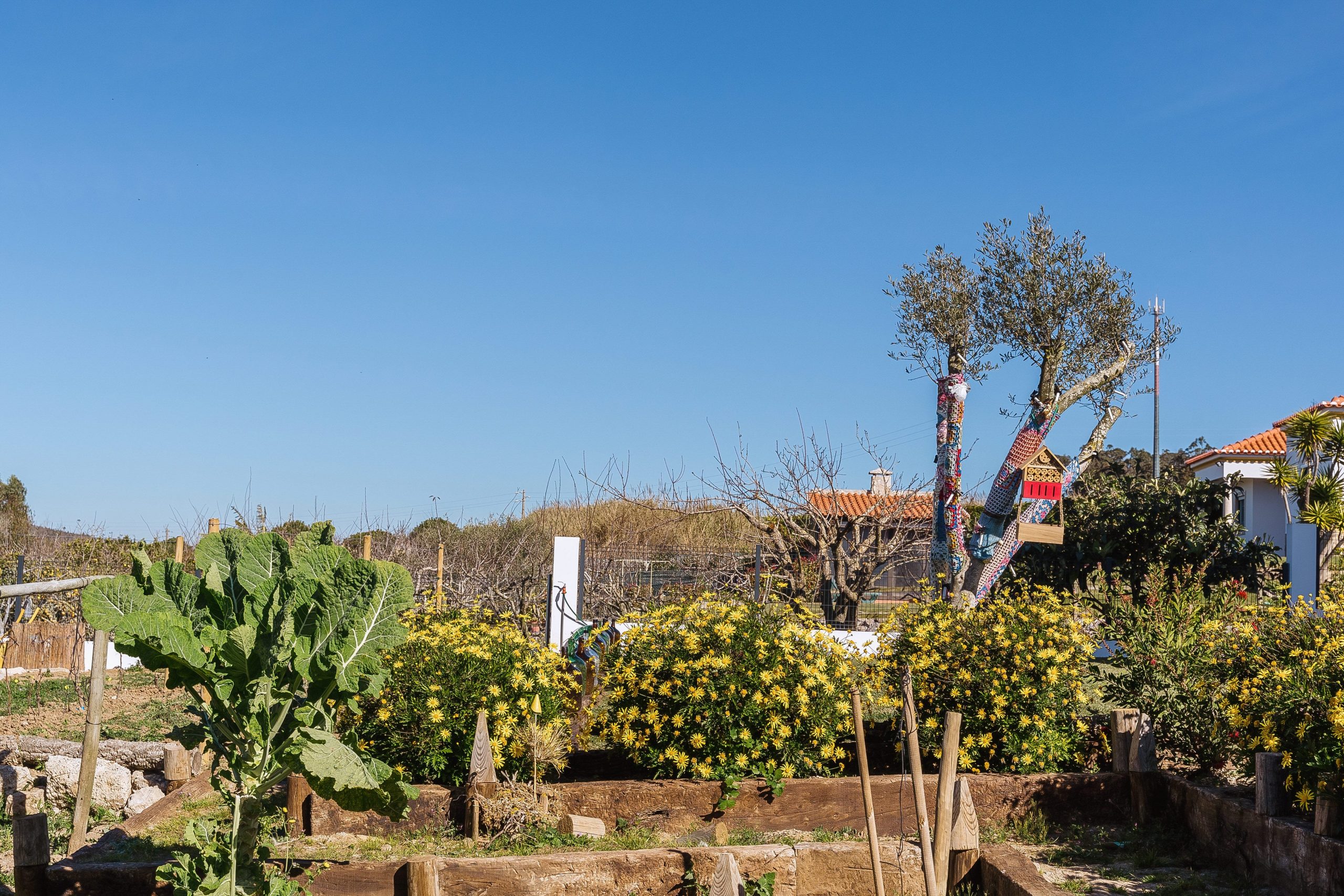 068_Exterior-Pateo-Sagaipo-Alojamento